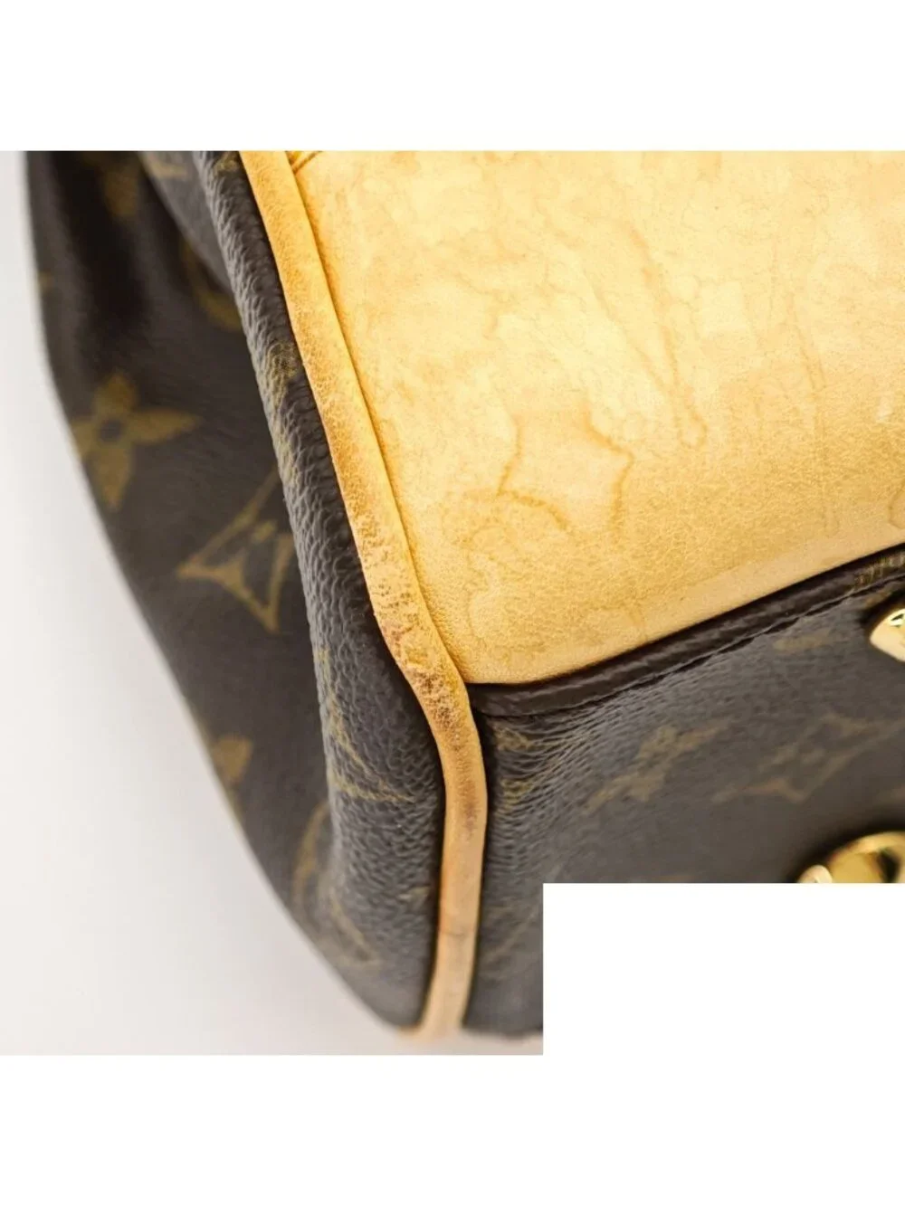Louis Vuitton brand louis